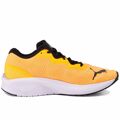 Sapatilhas de Running para Adultos Puma Aviator Profoam Sky Laranja Homem 42