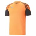 T-shirt de Futebol de Manga Curta Homem Puma Individual Cup Training L