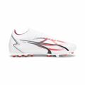 Chuteiras para Adultos Puma Ultra Match mg Branco 44