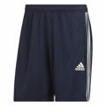 Calções de Desporto para Homem Adidas Designed To Move Azul Escuro XL