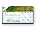 Monitor Videowall Sony Pro Bravia 85" 4K Ultra Hd 60 Hz