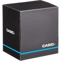 Relógio Masculino Casio MW-240-1EVEF