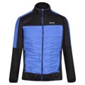 Casaco de Desporto para Homem Regatta Clumber Ii Hybrid Insulated Preto Azul S