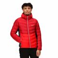 Casaco de Desporto para Homem Regatta Harrock Vermelho L