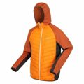 Casaco de Desporto para Homem Regatta Andreson Viii Hybrid Laranja M