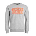 Polar sem Capuz Homem Jack & Jones 12219815 Cinzento L