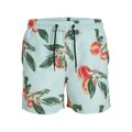 Calção de Banho Homem Jack & Jones Bahama Ly 12227726 Verde XXL