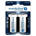 Pilhas Everactive LR20 1,5 V (2 Unidades)