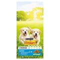 Penso Purina Friskies Junior Cachorro/júnior Frango Vegetal 15 kg