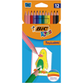 Lápis de Cor Bic Tropicolor 12 Cores