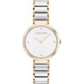 Relógio Feminino Calvin Klein 25200139