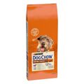 Penso Purina Dog Chow Mature Senior Sénior Borrego 14 kg