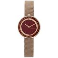 Relógio Feminino Pierre Cardin CMA-0003