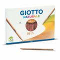 Lápis de Cores Giotto Naturale Multicolor (36 Peças)