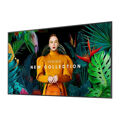 Monitor Videowall Samsung QH55C 4K Ultra Hd 55"