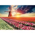 Puzzle Educa Fields Of Tulips 18465 1500 Peças