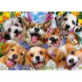 Puzzle Educa Doggy Selfie 1000 Peças