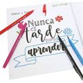 Conjunto de Canetas de Feltro Alpino Dual Artist Multicolor 12 Peças