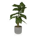 Planta Decorativa Versa 15 X 53 X 15 cm Cimento Plástico