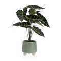 Planta Decorativa Versa Metal Cerâmica Poliestireno Plástico 30 X 46 X 34 cm