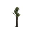 árvore Dkd Home Decor Palmeira Poliéster Polipropileno (100 X 100 X 250 cm)