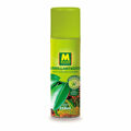 Abrilhantador Massó Plantas 250 Ml