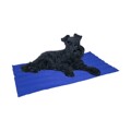 Tapete para Cão Nayeco Azul Gel Refrigerante (50 X 90 cm)