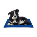 Tapete para Cão Nayeco Azul Gel Refrigerante (50 X 90 cm)