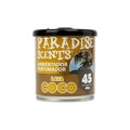 Ambientador para Automóveis Paradise Scents Coco (100 gr)