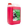 Anticongelante MOT3541 50% Cor de Rosa (5 L)