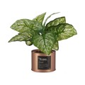 Planta Decorativa Home Cobre Lata Metal Plástico (26 X 26 X 26 cm)