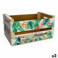 Caixa de Armazenagem Confortime Paradise (3 Unidades) (44 X 24,5 X 23 cm)