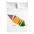 Conjunto de Lençóis Leaf Pantone Cama de 180 (260 X 270 cm)