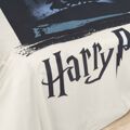 Capa Nórdica Harry Potter 180 X 220 cm Solteiro