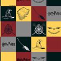 Toalha Resinada Antinódoas Harry Potter 250 X 140 cm