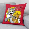 Capa de Travesseiro Tom & Jerry 45 X 45 cm