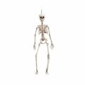 Decoração para Halloween My Other Me 90 cm Esqueleto