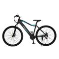 Bicicleta Elétrica Skateflash Sk Duster 27" 250 W 25 Km/h