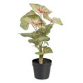 Planta Decorativa Vermelho Verde Pvc 40 X 35 X 55 cm