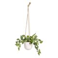 Planta Decorativa 33 X 33 X 24 cm Branco Verde Pvc