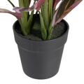 Planta Decorativa 44 X 39 X 48 cm Cor de Rosa Verde Pvc