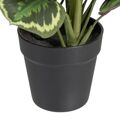 Planta Decorativa 37 X 37 X 41 cm Verde Pvc