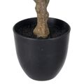 Planta Decorativa Polietileno Ferro Peva Eik 76 cm