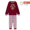 Pijama Infantil Harry Potter Vermelho 10 Anos