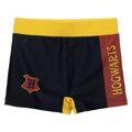 Calções de Banho Boxer para Meninos Harry Potter Multicolor 12 Anos