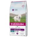 Penso Eukanuba Daily Care Sensitive Skin Adulto Peixe 12 kg