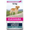 Penso Eukanuba Adulto Frango 12 kg