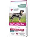 Penso Eukanuba Daily Care Adulto Salmão 12 kg