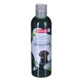 Champô para Animais de Estimação Beaphar Black Coat 250 Ml