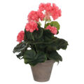 Planta Decorativa Mica Decorations Pvc Gerânio (11,5 X 33 cm)